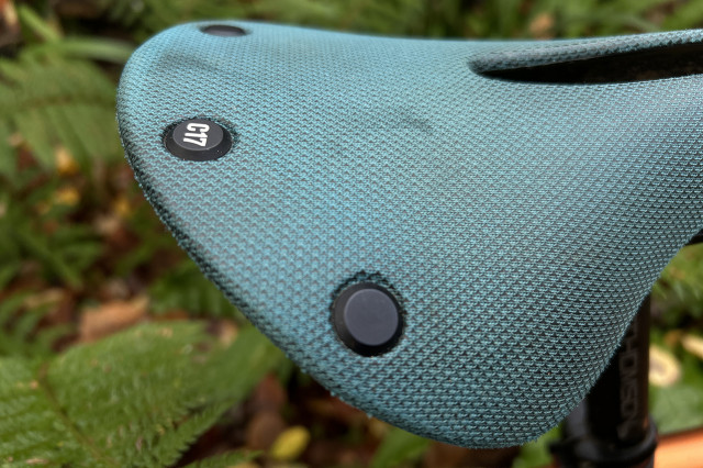 2025 brooks cambium carved rear.jpg